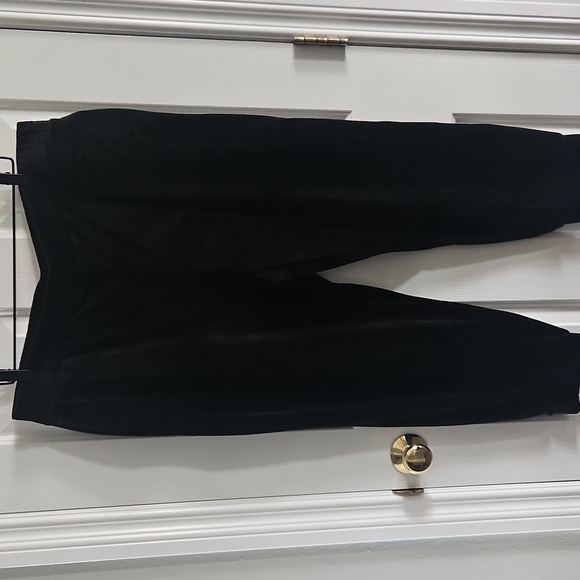 Express Velour Joggers - Picture 1 of 7